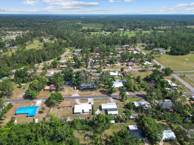 127 E Nancy St, Perry, FL 32347 - bird's eye view with a wooded view