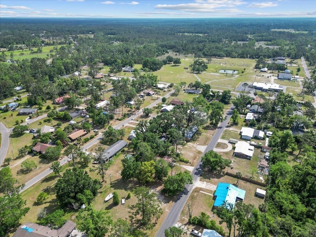 127 E Nancy St, Perry, FL 32347 - aerial view with a forest view