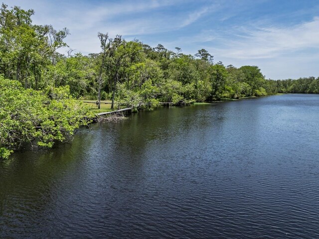 881 Hickory Hammock Rd, Carrabelle, FL 32322 - water view featuring a heavily wooded area