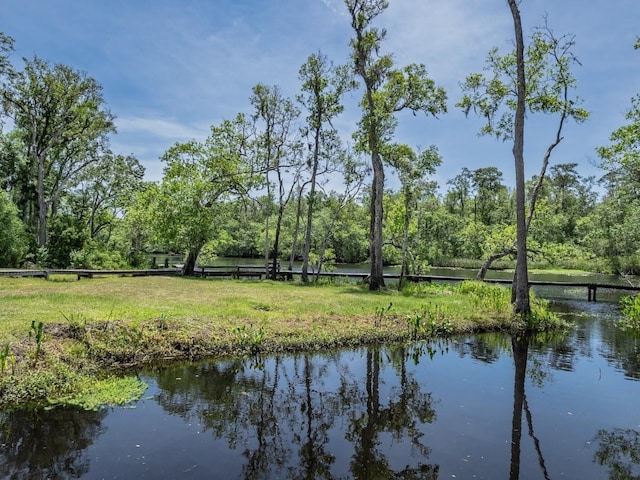 881 Hickory Hammock Rd, Carrabelle, FL 32322 - water view