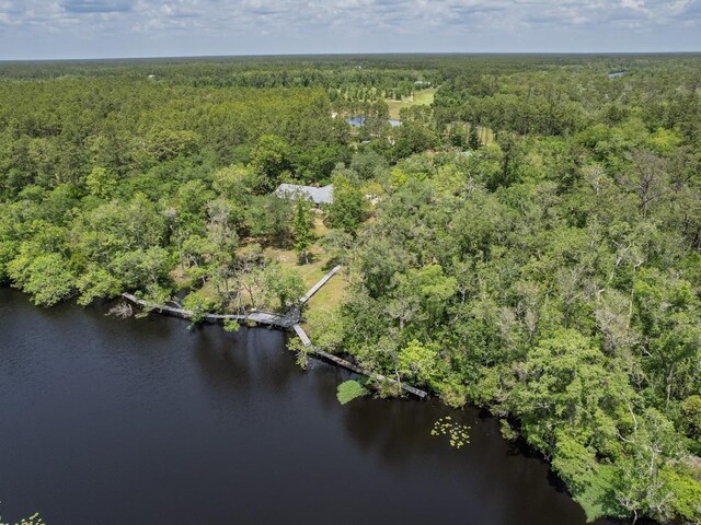 881 Hickory Hammock Rd, Carrabelle, FL 32322 - view of property location with a heavily wooded area and a nearby body of water