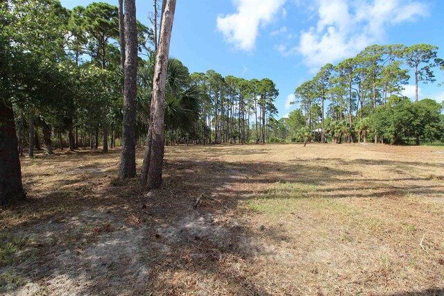 2620 Surf Rd, Panacea, FL 32346 - photo 17