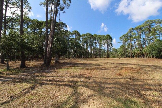 2620 Surf Rd, Panacea, FL 32346 - photo 15