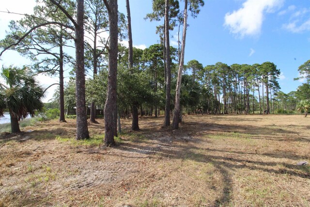 2620 Surf Rd, Panacea, FL 32346 - photo 16