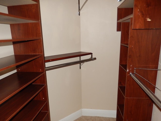 view of walk in closet