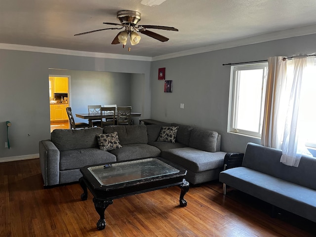 living room with wood-type flooring, ceiling fan, and ornamental molding