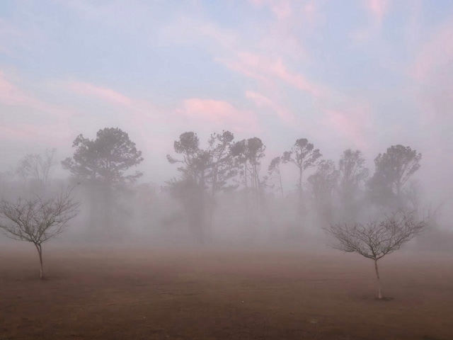 view of nature at dusk