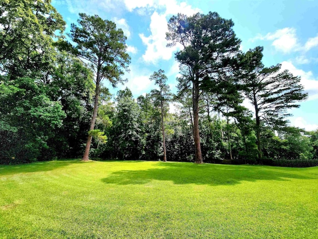 6280 Whittondale Dr, Tallahassee, FL 32312 - photo 34