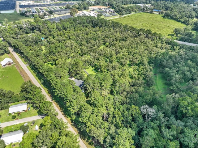 1244 Salem Rd, Havana, FL 32333 - bird's eye view