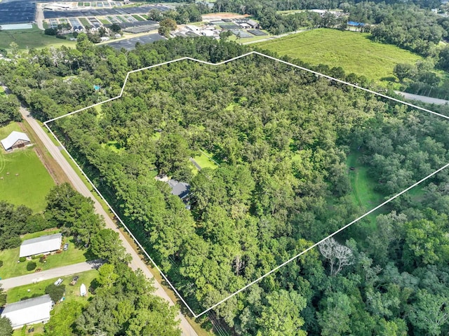 1244 Salem Rd, Havana, FL 32333 - drone / aerial view