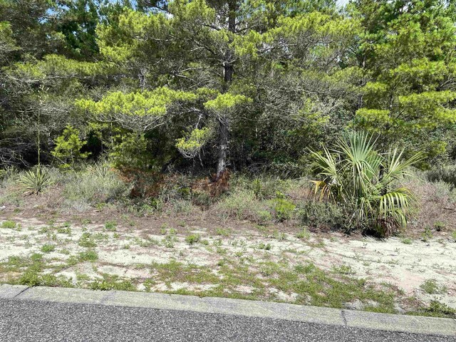 1742 Landing St, Carrabelle, FL 32322