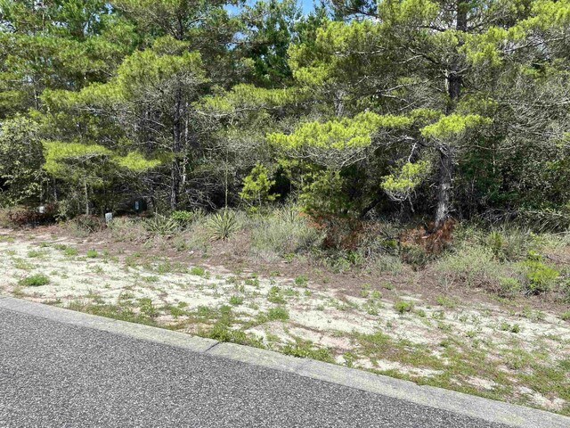 1742 Landing St, Carrabelle, FL 32322