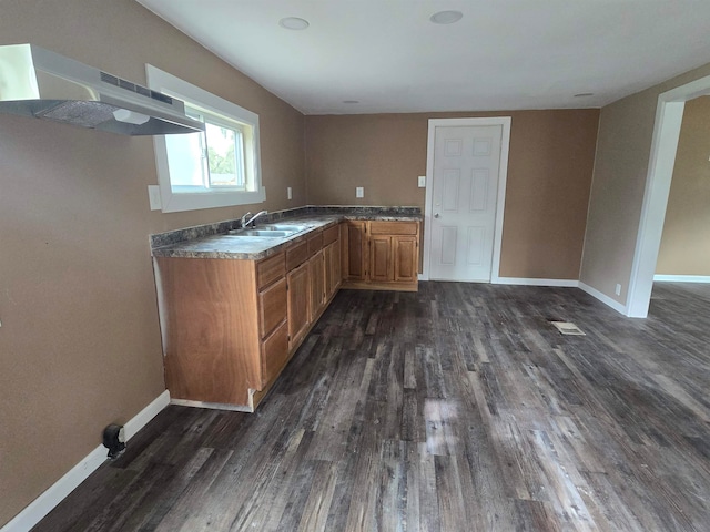 kitchen featuring dark wood-type flooring, sink, and exhaust hood