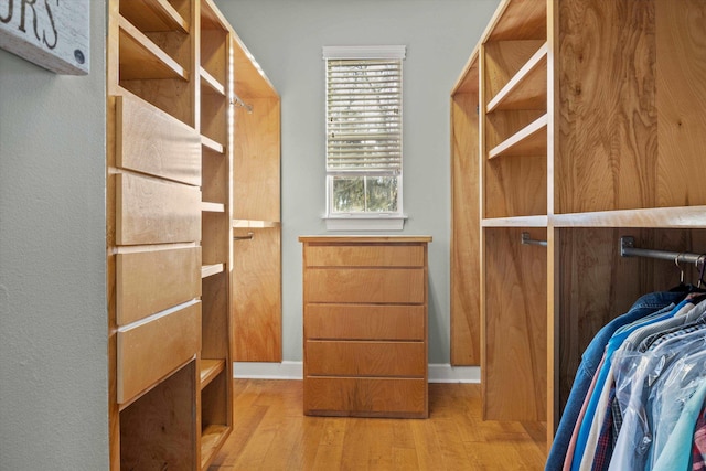 spacious closet with light wood-type flooring