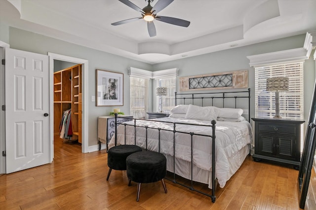 bedroom featuring ceiling fan, a walk in closet, wood-type flooring, and a tray ceiling