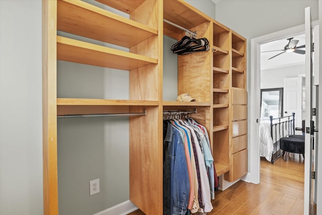 spacious closet featuring light hardwood / wood-style flooring and ceiling fan