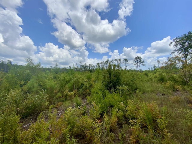 Vacant E Washington Highway, Monticello, FL 32344 - photo 24