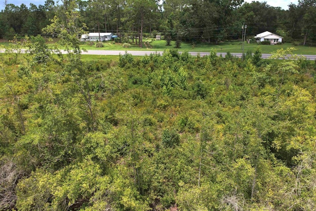 Vacant E Washington Highway, Monticello, FL 32344 - photo 7