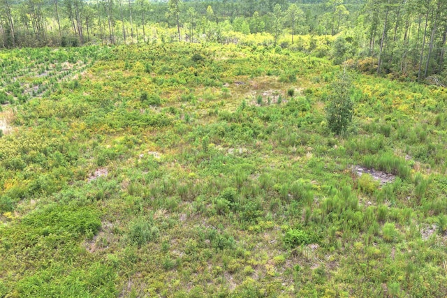 Vacant E Washington Highway, Monticello, FL 32344 - photo 10