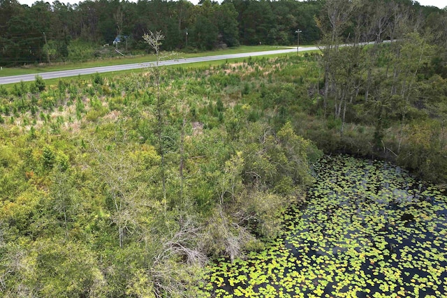 Vacant E Washington Highway, Monticello, FL 32344 - photo 8