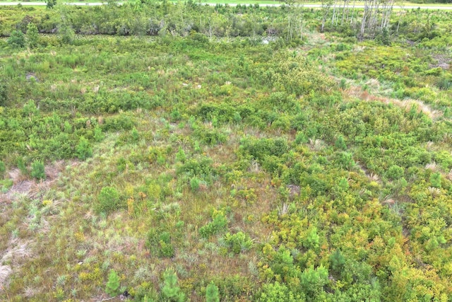 Vacant E Washington Highway, Monticello, FL 32344 - photo 3