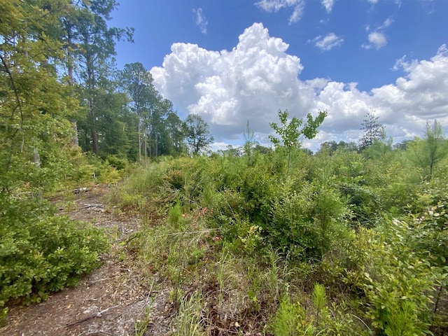 Vacant E Washington Highway, Monticello, FL 32344 - photo 23