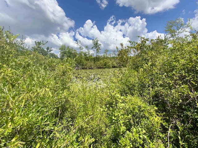 Vacant E Washington Highway, Monticello, FL 32344 - photo 19