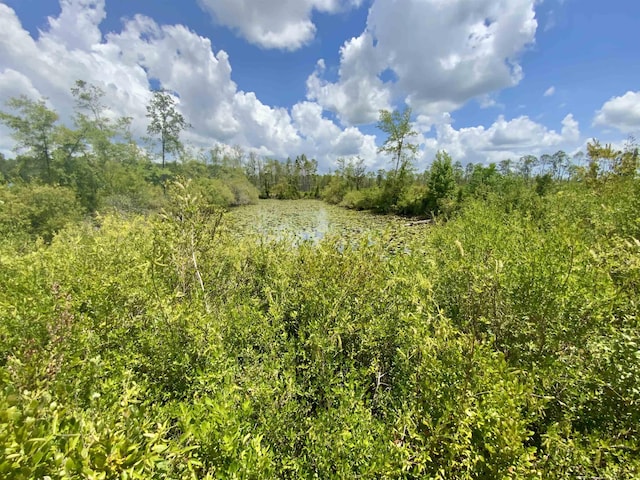 Vacant E Washington Highway, Monticello, FL 32344 - photo 15