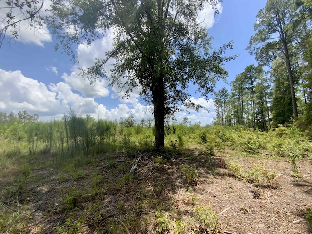 Vacant E Washington Highway, Monticello, FL 32344 - photo 21