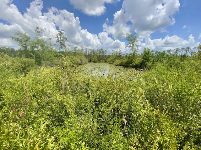 Vacant E Washington Highway, Monticello, FL 32344 - photo 17