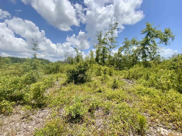 Vacant E Washington Highway, Monticello, FL 32344 - photo 12