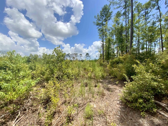 Vacant E Washington Highway, Monticello, FL 32344 - photo 22