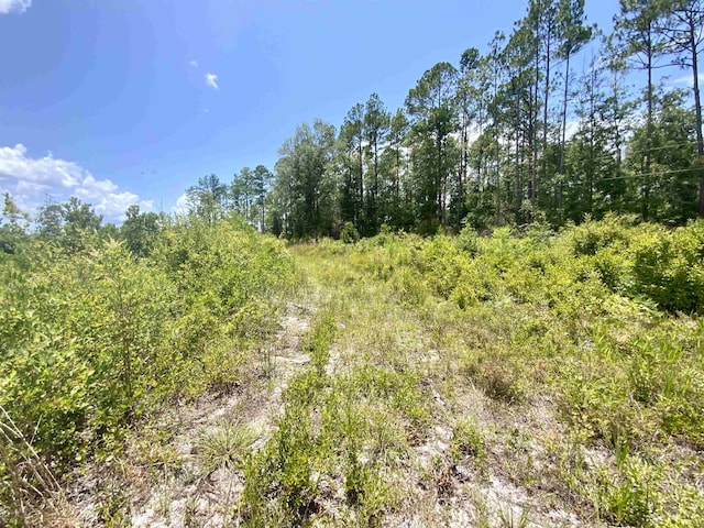 Vacant E Washington Highway, Monticello, FL 32344 - photo 14