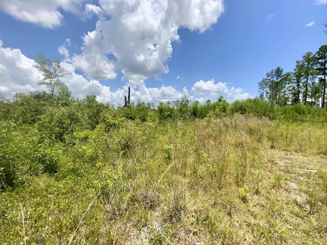 Vacant E Washington Highway, Monticello, FL 32344 - photo 18