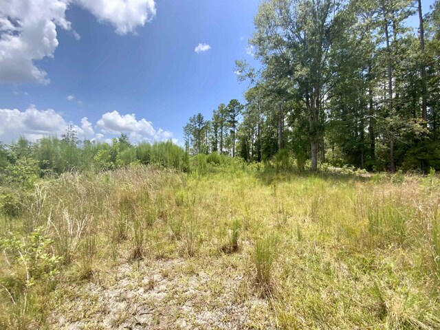 Vacant E Washington Highway, Monticello, FL 32344 - photo 20