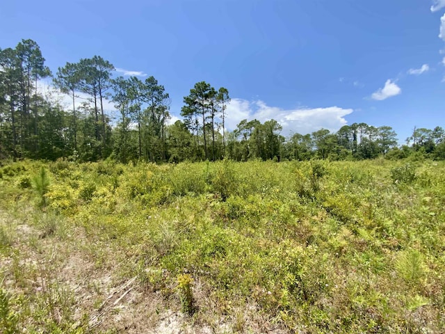 Vacant E Washington Highway, Monticello, FL 32344 - photo 13