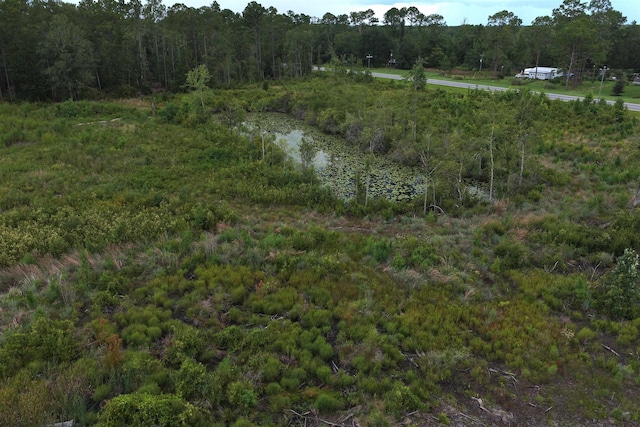 Vacant E Washington Highway, Monticello, FL 32344 - photo 2