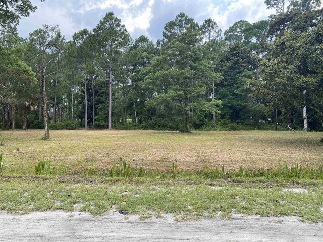 136 Alapaha Ave, Panacea, FL 32346 - photo 27