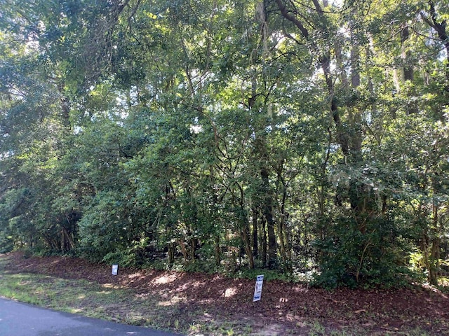 Listing photo 3 for XXXX Marston Road, Tallahassee FL 32308