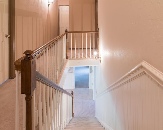 staircase featuring carpet floors