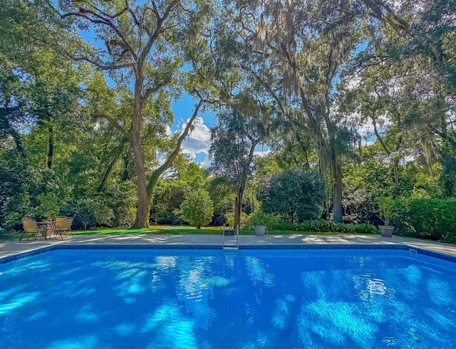 view of swimming pool