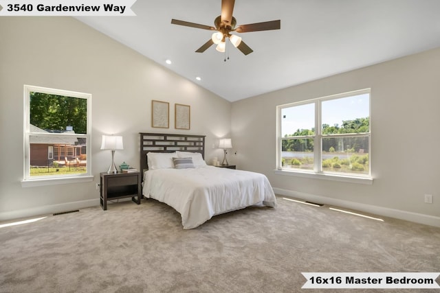 carpeted bedroom featuring ceiling fan, multiple windows, and high vaulted ceiling