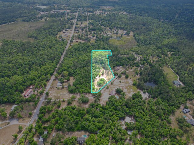 15766 NE Bob Sanders Rd, Hosford, FL 32334 - photo 26