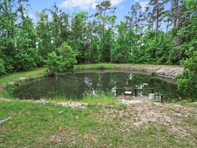 15766 NE Bob Sanders Rd, Hosford, FL 32334 - photo 4