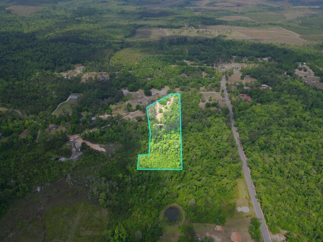 15766 NE Bob Sanders Rd, Hosford, FL 32334 - photo 6