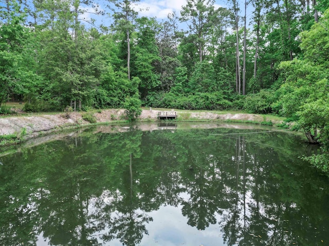 15766 NE Bob Sanders Rd, Hosford, FL 32334 - photo 33