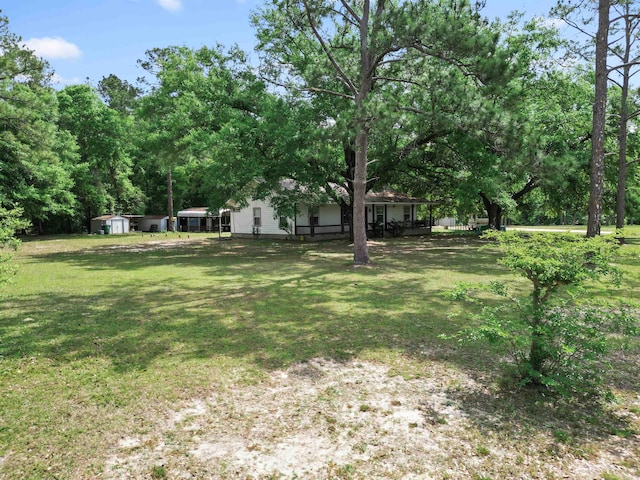 15766 NE Bob Sanders Rd, Hosford, FL 32334 - photo 32