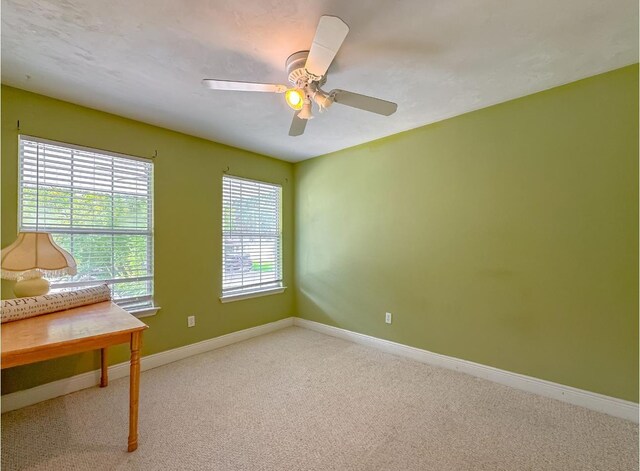 3248 Addison Ln, Tallahassee, FL 32317 - photo 38