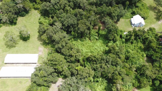 35 C L Townsend Ln, Crawfordville, FL 32327 - photo 18