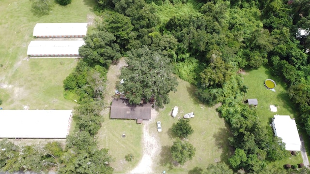 35 C L Townsend Ln, Crawfordville, FL 32327 - photo 15